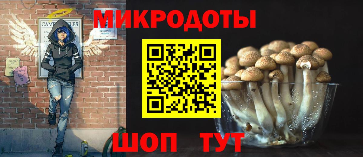 Галлюциногенные грибы прущие грибы  Вход с VPN  Тайшет 